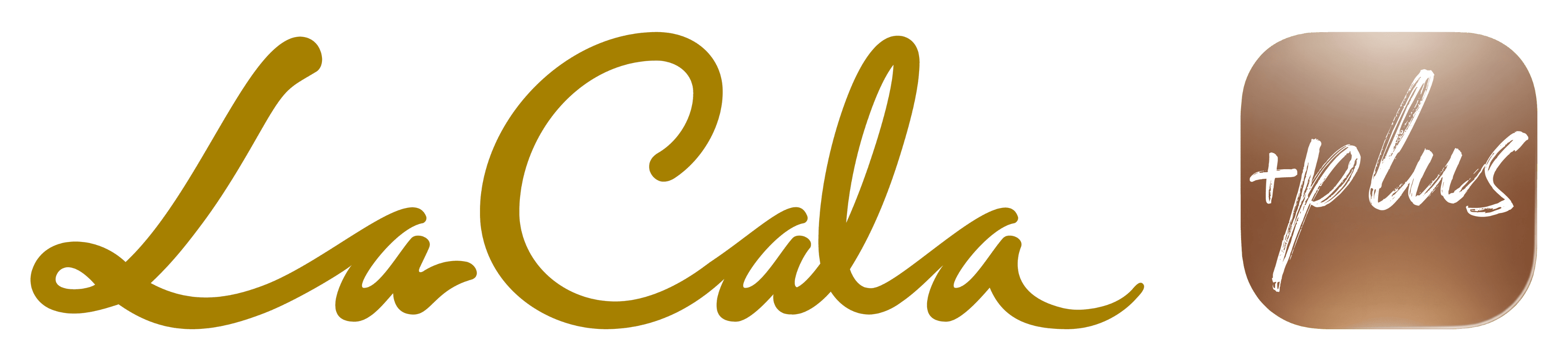 logo plus